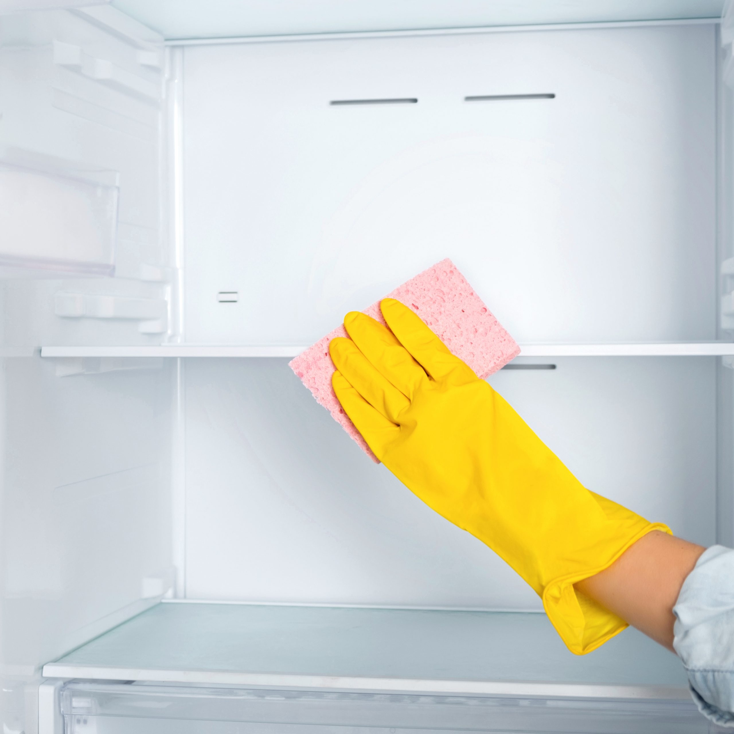 Cleaning professional cleaning the fridge