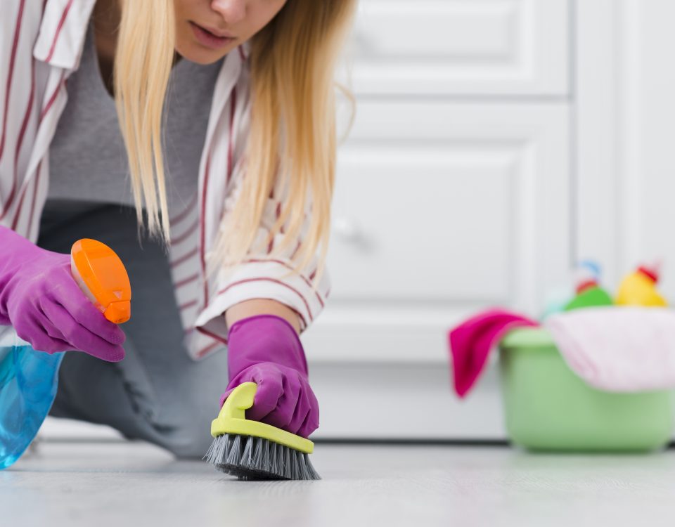 Tampa house cleaning services near me