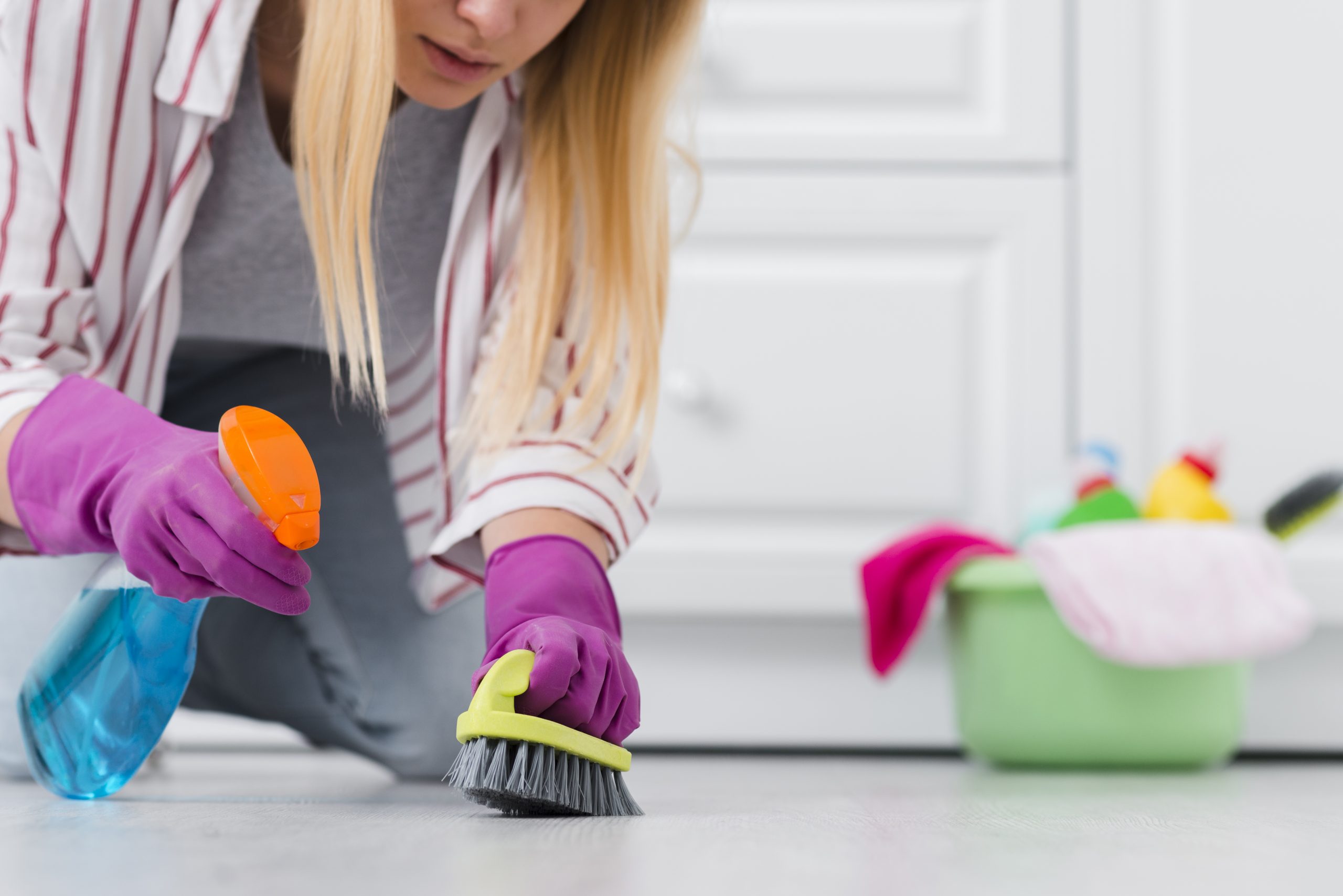 Tampa house cleaning services near me